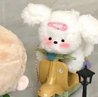 珍珠比比