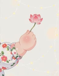 贺贺